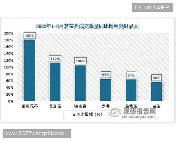 2026年3月份新闻广州网球队意识提升与团队协作的深度探讨与实践分析